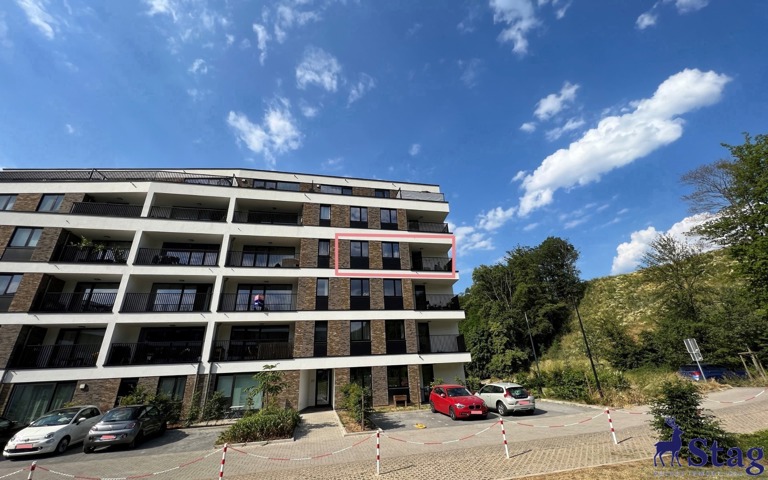 Spacieux appartement 2 chambres terrasse, parking et cave