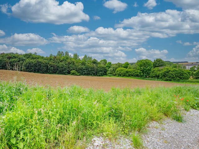 Terrain à vendre à Hamois