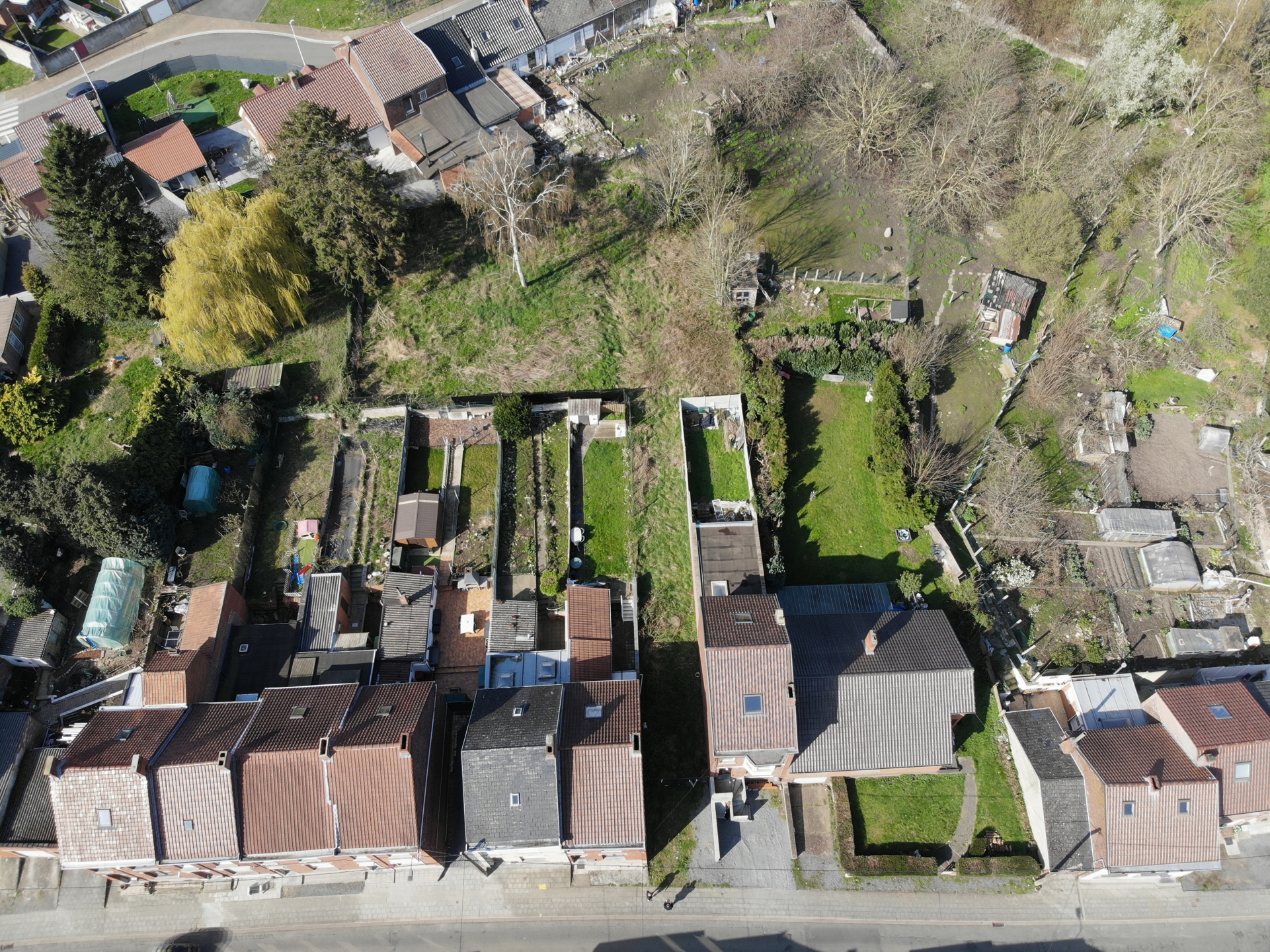 Photo terrain Terrain à bâtir pour maison 2 façades avec grand jardin. 