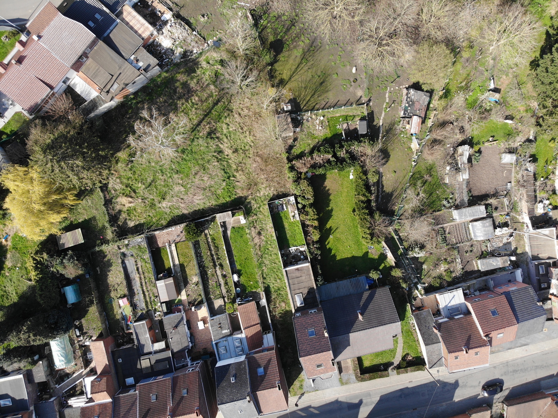 Photo terrain Terrain à bâtir pour maison 2 façades avec grand jardin. 