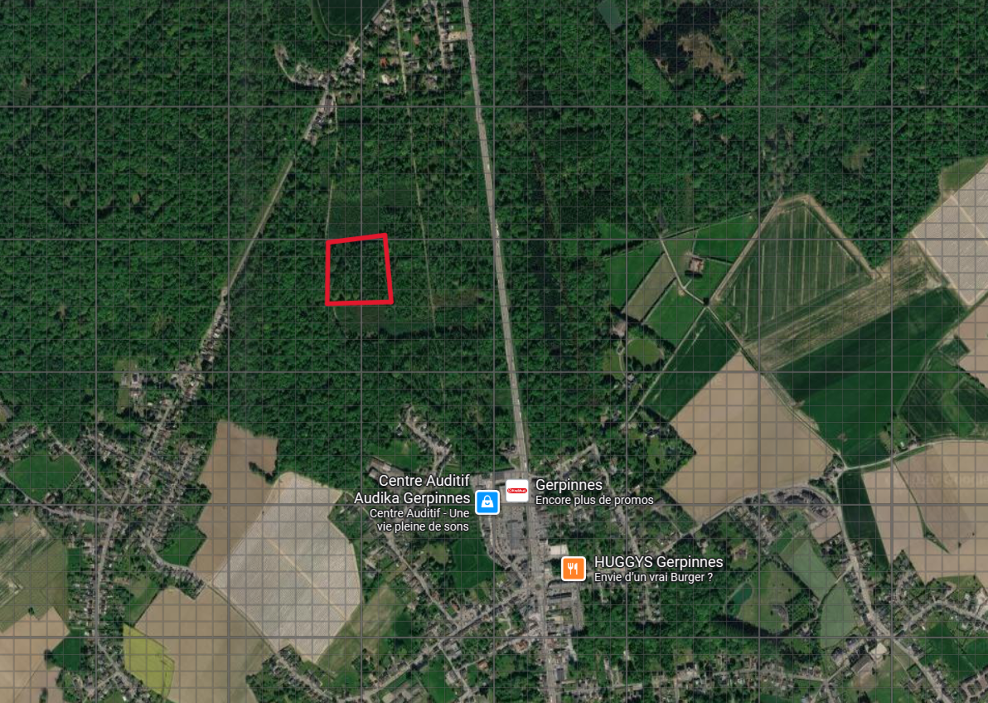 Photo terrain Terrain forestier 3 hectares 20 ares 