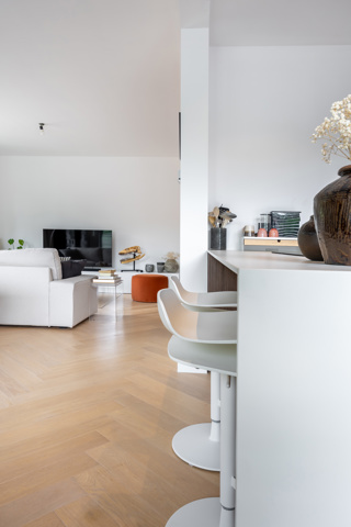Luxueus gerenoveerd appartement in het gegeerde Brasschaat