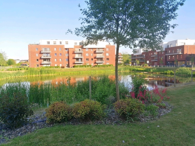 Flat - for rent - 7000 MONS