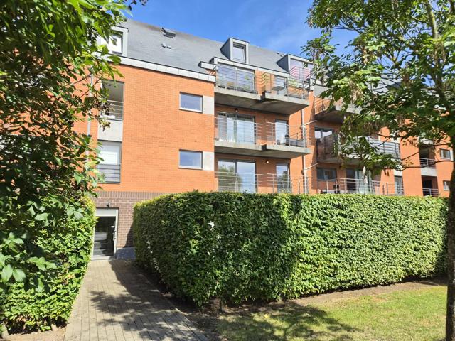 Flat - for rent - 7000 MONS