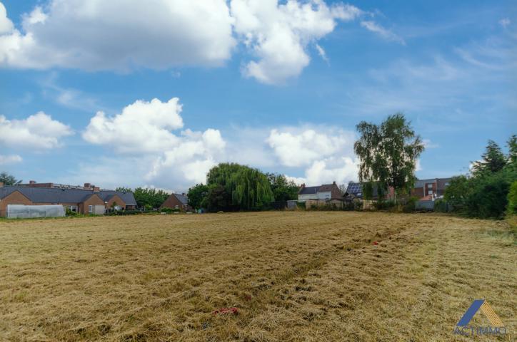 Bouwgrond - te koop - 7712 Herseaux