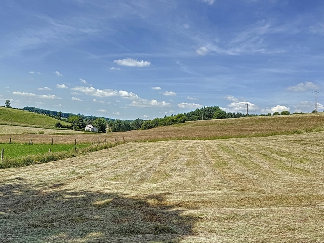 Terrain à bâtir - à vendre - 6660 Houffalize