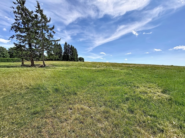 Terrain à bâtir - à vendre - 6680 Sainte-Ode