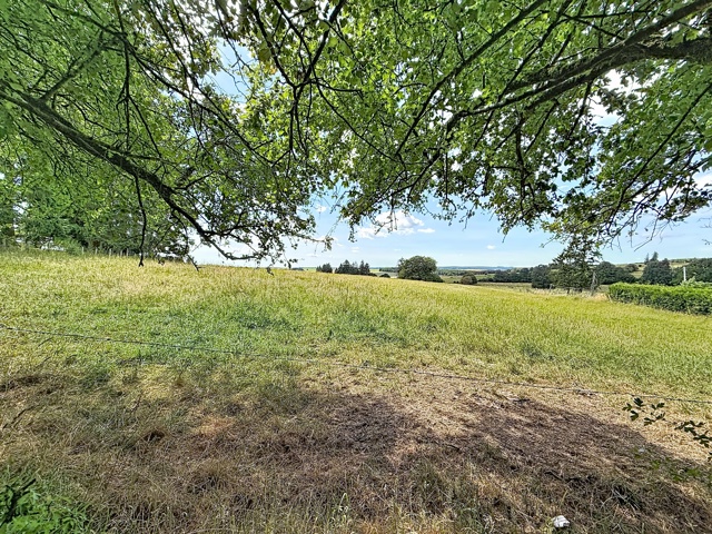 Terrain à bâtir - à vendre - 6680 Sainte-Ode
