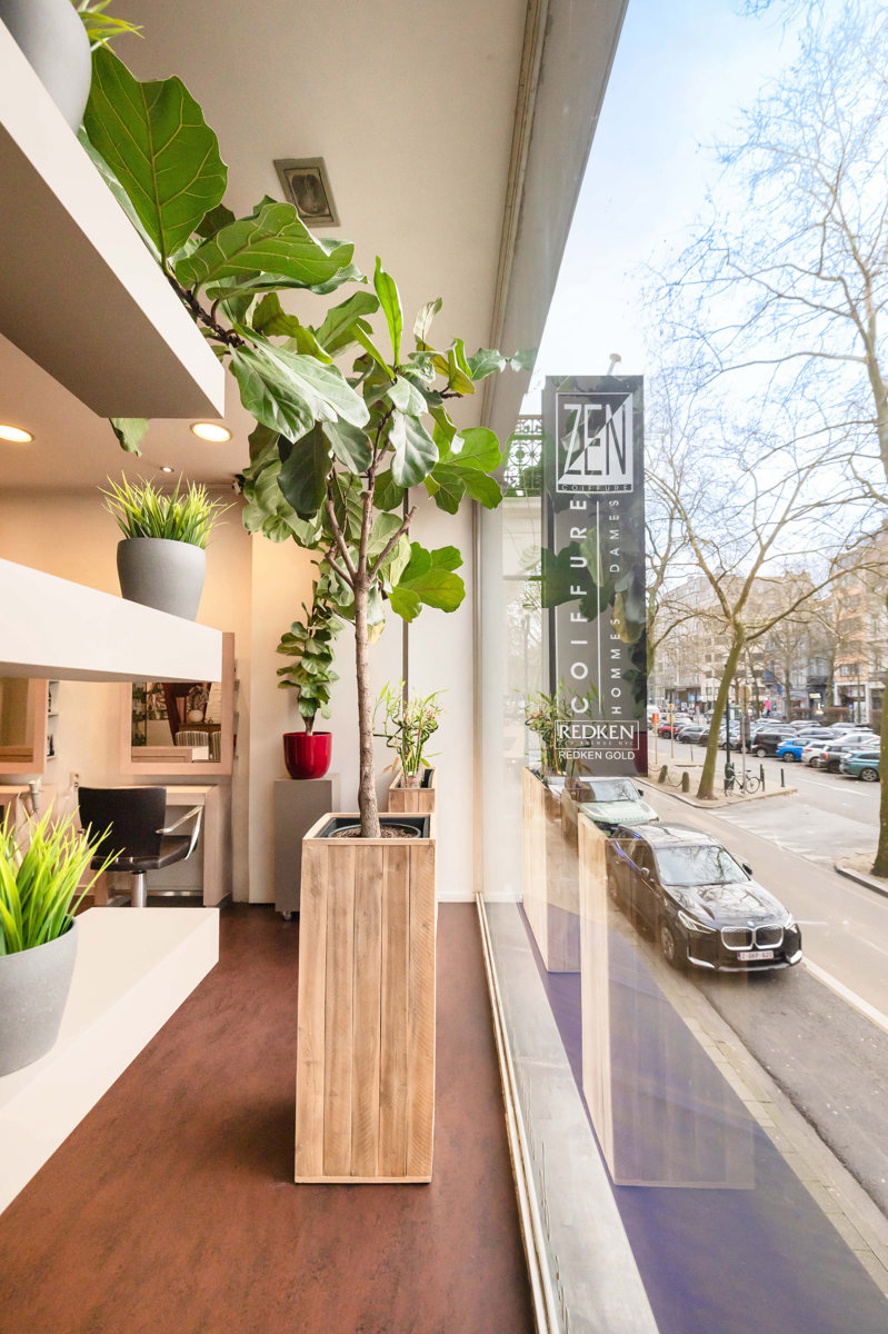 Individuele handelszaak Bruxelles