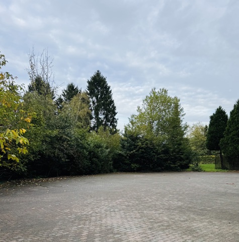 Gelijkvloers 3 slaapkamer appartement met grote garage. - te huur bij Immo Kong