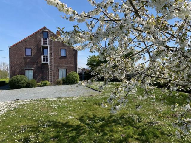 Maison - à vendre - 1600 Sint-Pieters-Leeuw