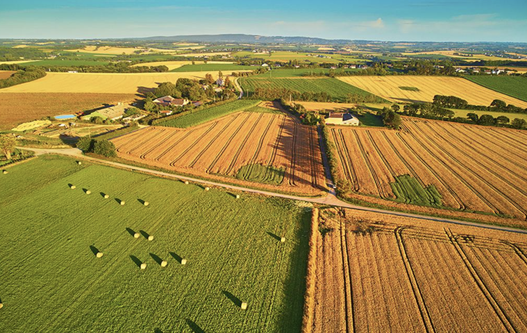 Landbouwgrond - te koop - 1420 Braine-l'Alleud