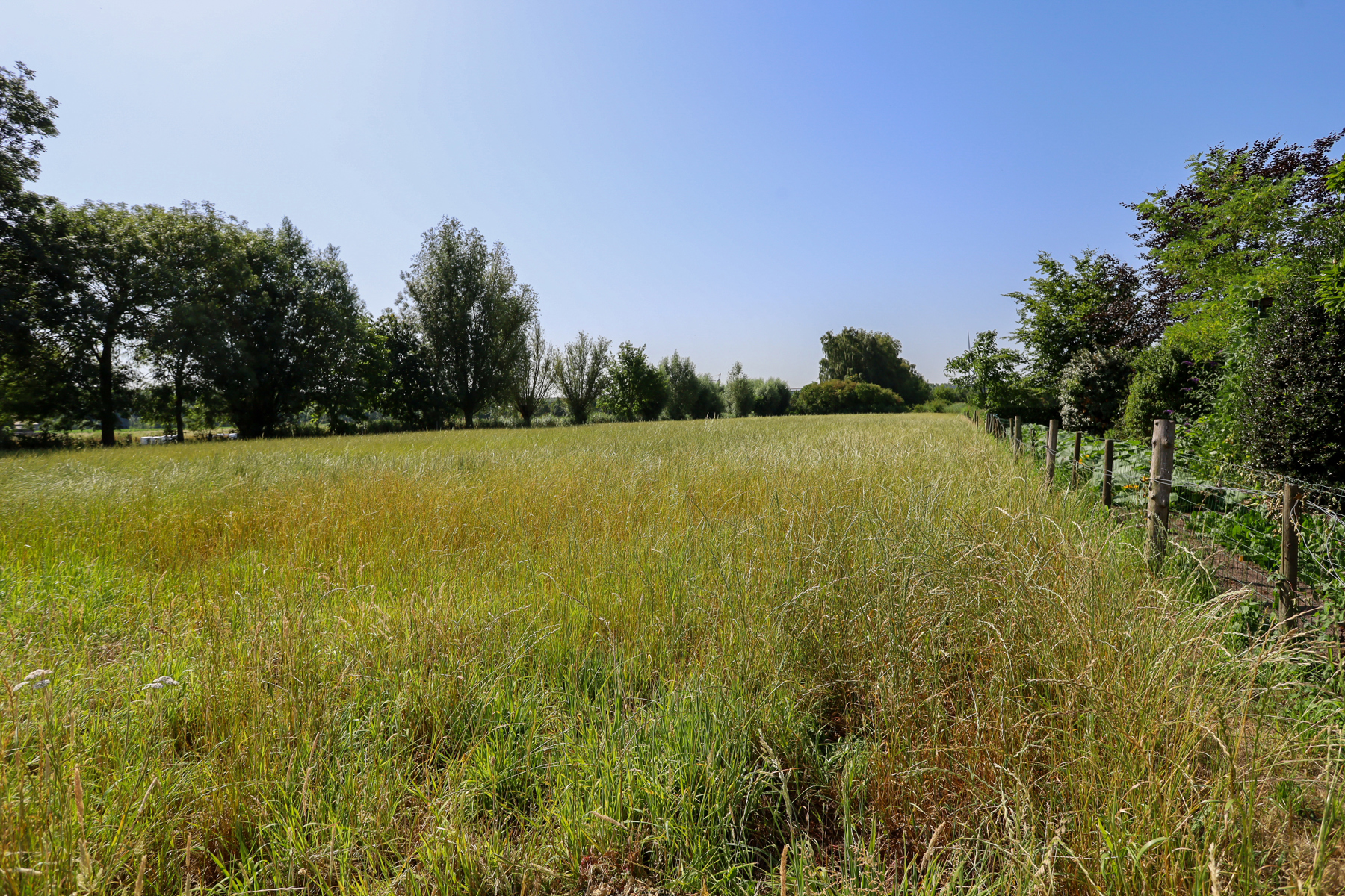 Rustig gelegen OB met weiland