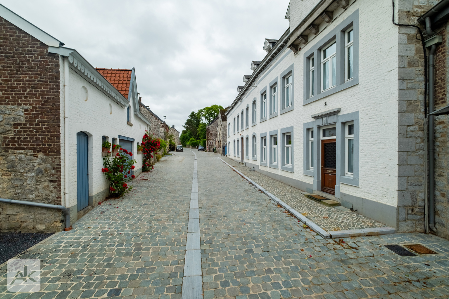 Ensemble immobilier exceptionnel au coeur du village de Olne !