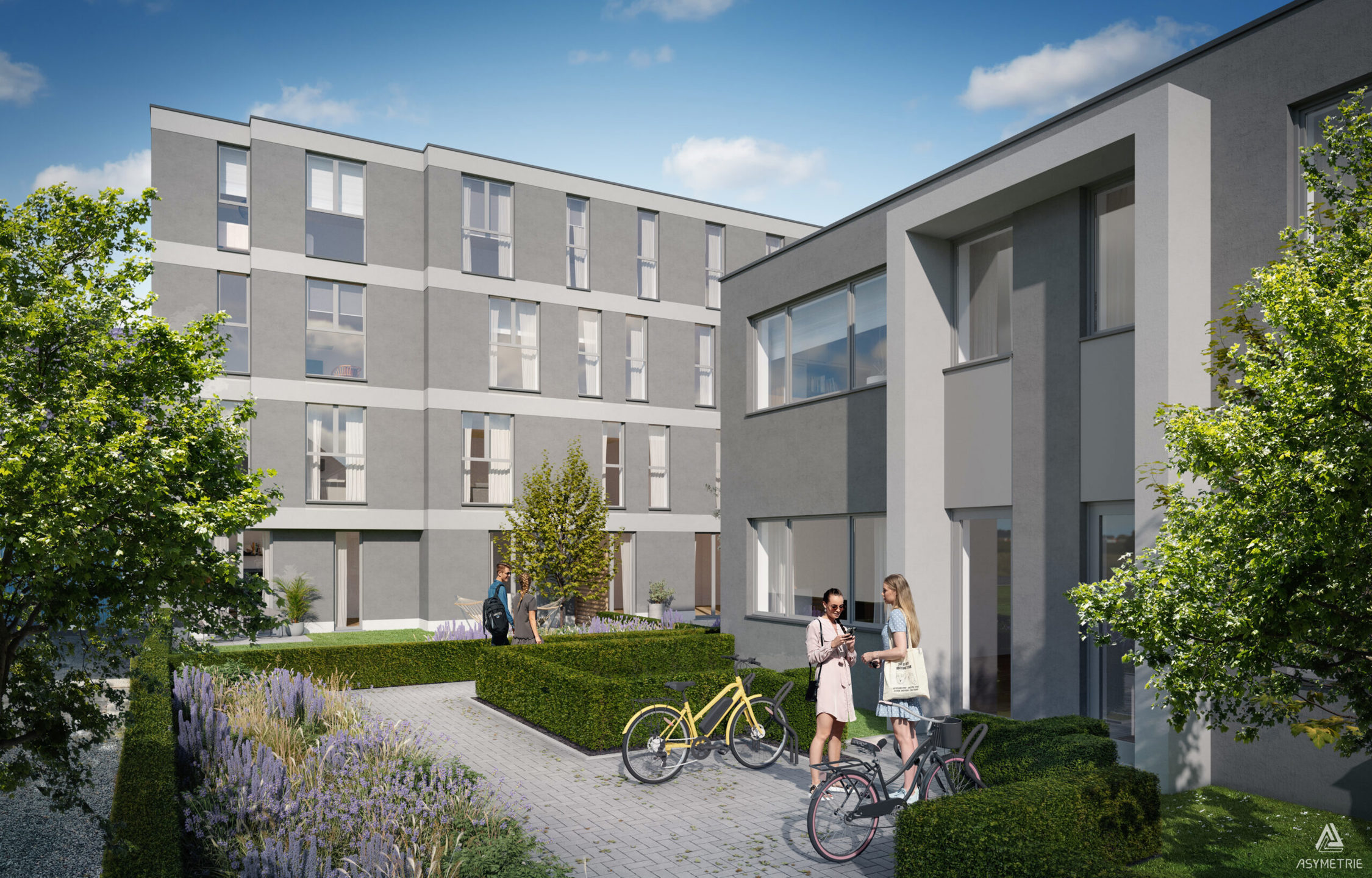 M001 - LAVENDER - Zaventem - #6613260-0