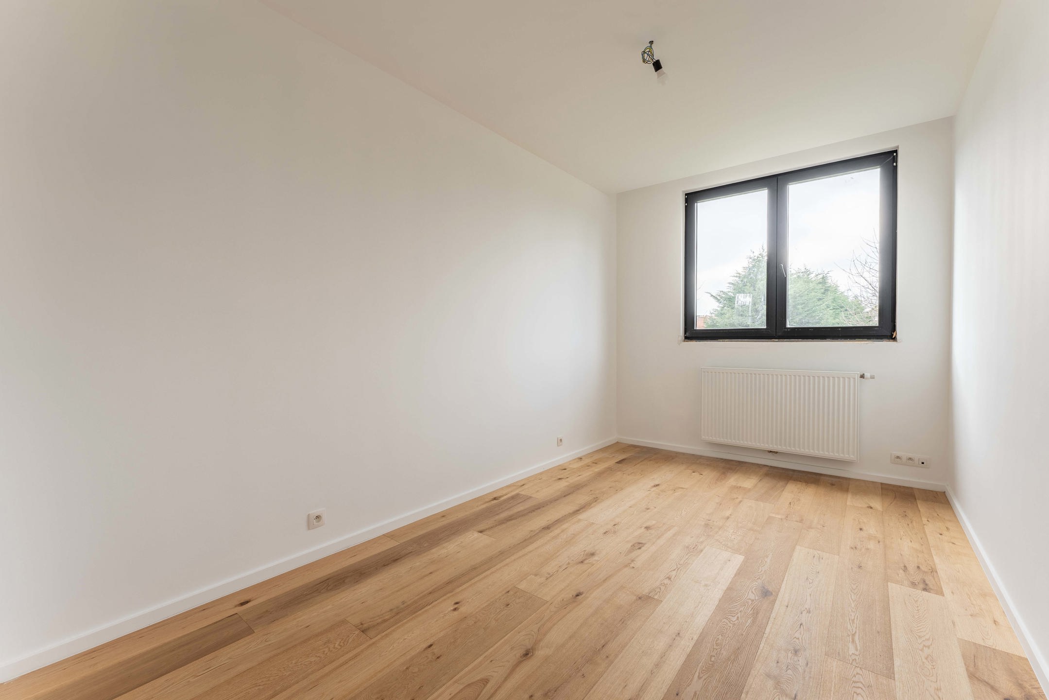 M005 - LAVENDER - Zaventem - #6613271-9