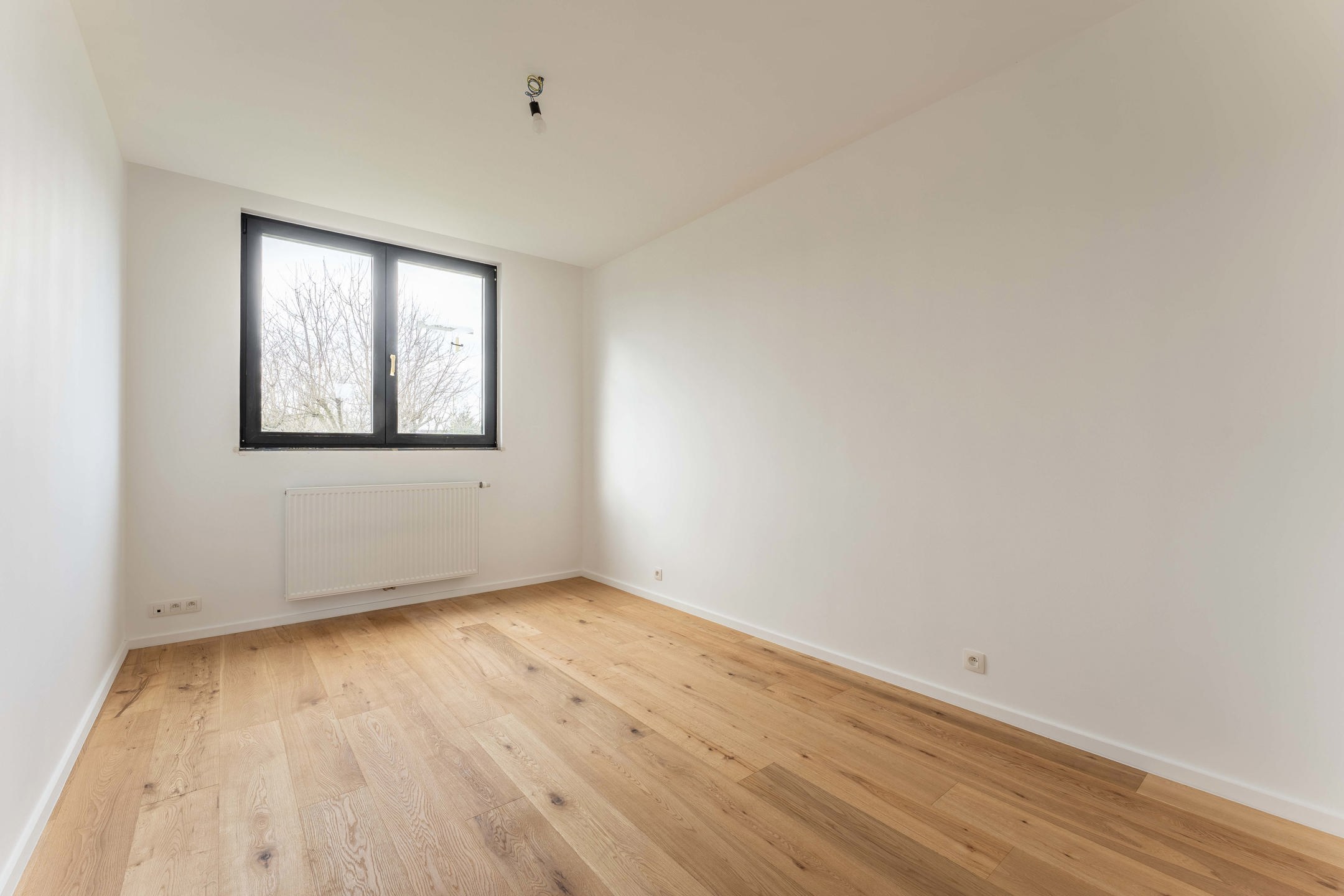 M005 - LAVENDER - Zaventem - #6613271-7