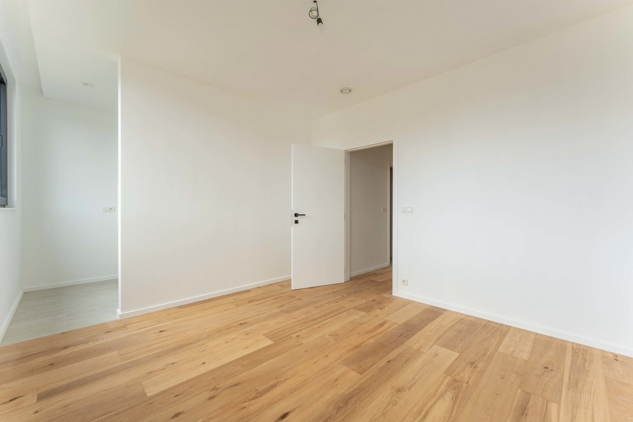 M005 - LAVENDER - Zaventem - #6613271-5