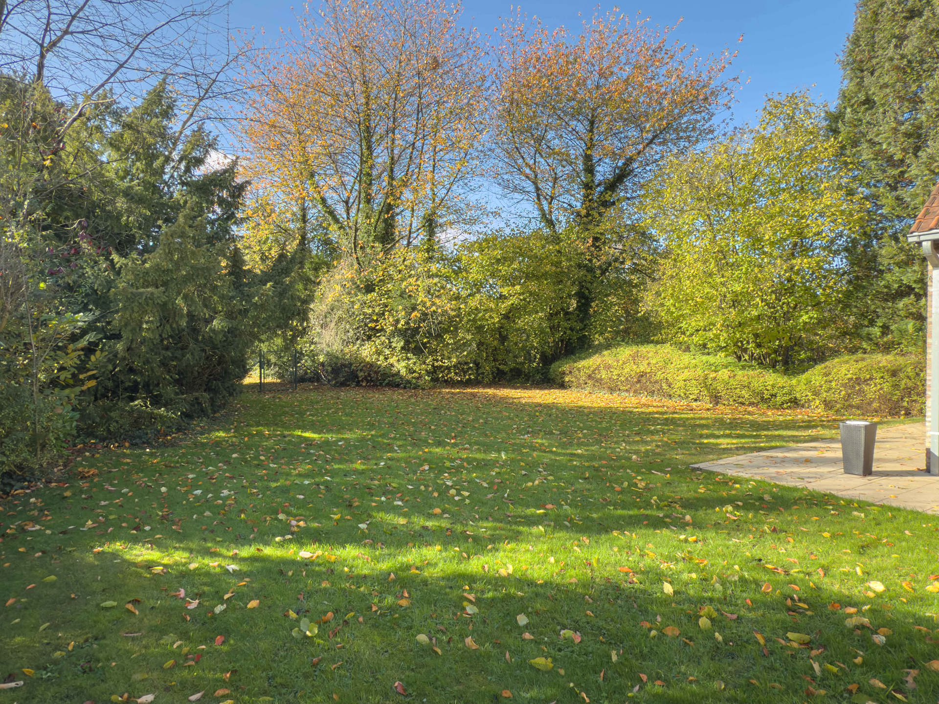 Villa - à vendre - 1380 Lasne - #7212673-23