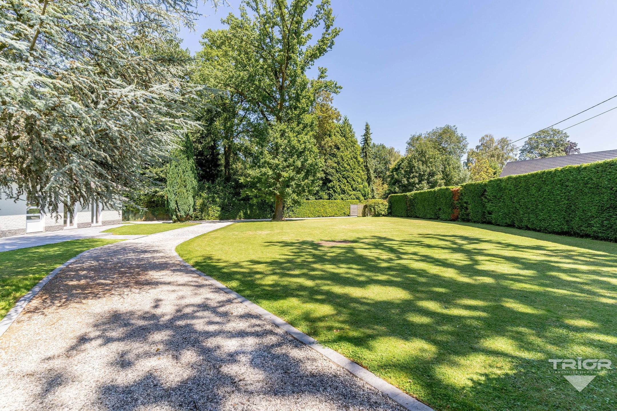 Villa - à vendre - 1380 Lasne - #7222000-42