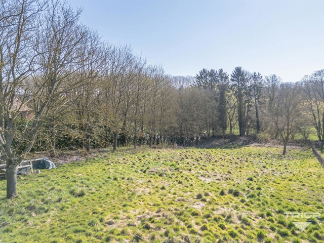 Terrain à bâtir - à vendre - 1380 Lasne