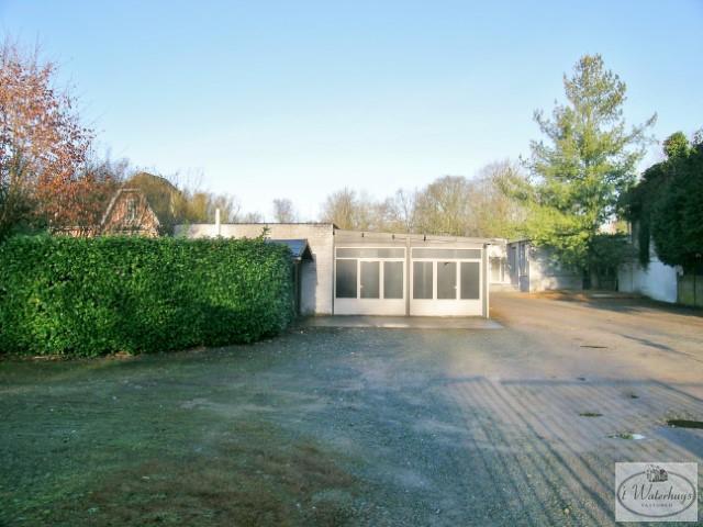 estate