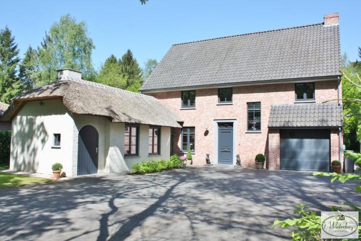 estate