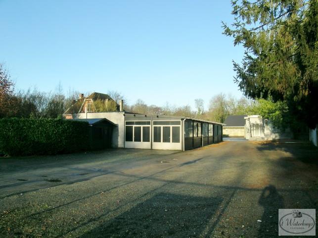 estate