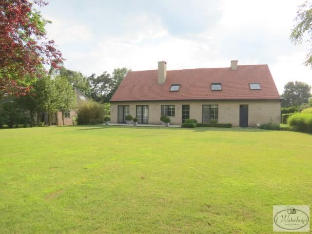 estate
