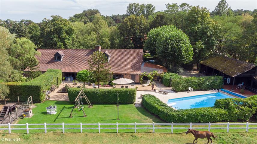 estate
