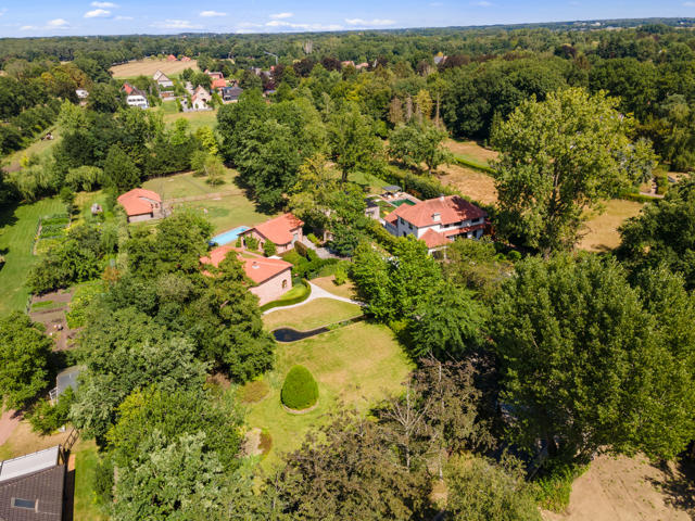 estate