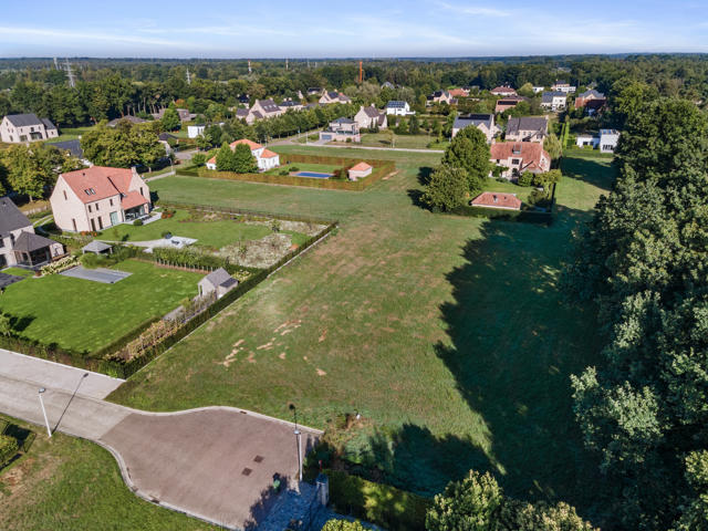 estate