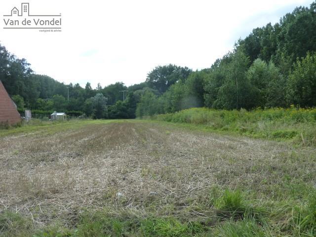 Rustig gelegen bouwgrond van 18a te Erembodegem!