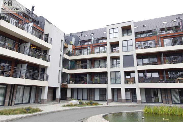 Ruim app. met 3 slp met zonneterras
te Aalst centrum!
Rustig en centraal gelegen.