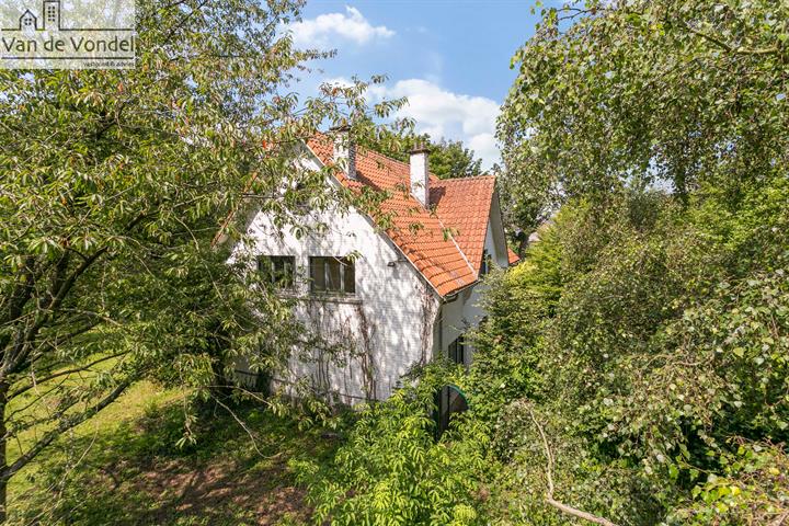 Pareltje op toplocatie langs de stadsrand van Aalst
