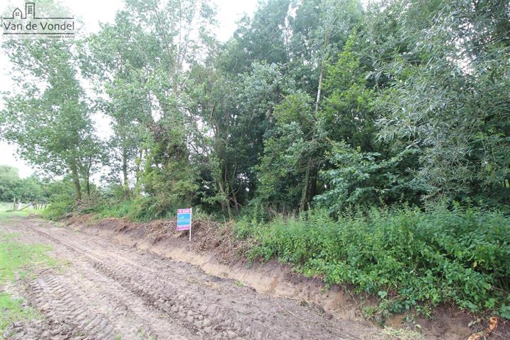 perceel bos gelegen te Erembodegem.