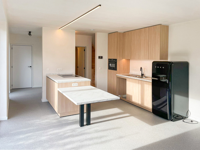 Mol huis