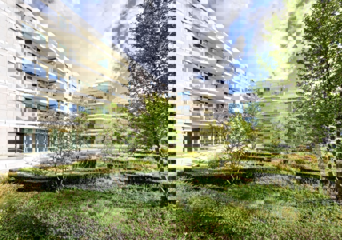 Le Toison d'Or - TO C4.1