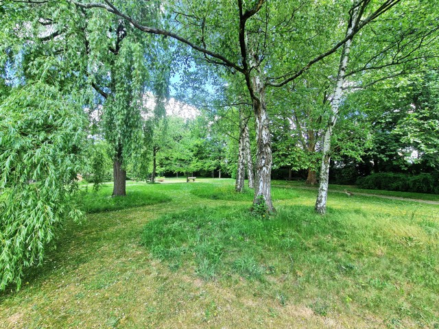 Charles Michiels 176