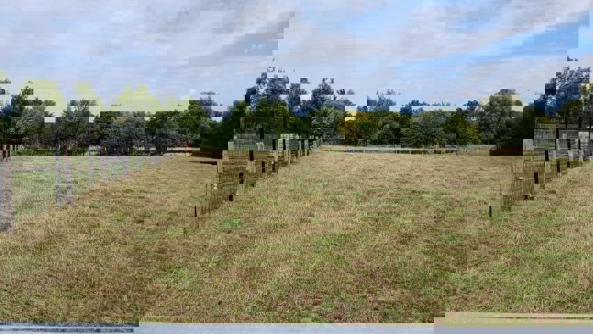 Image of Rue de Bon Conseil