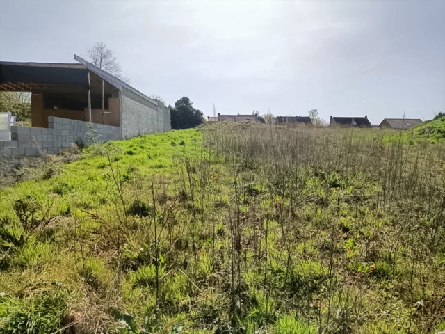 Image of des Ruelles 